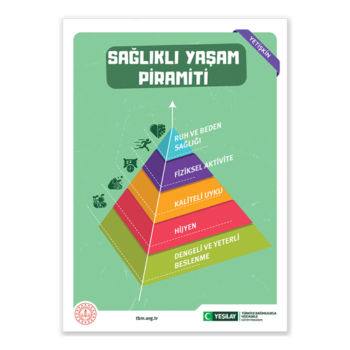 Sağ üst köşesinde yetişkin yazan yeşil zeminli afişte, sağlıklı yaşam piramidine yer verilmiş. Yukarı doğru daralan piramit farklı renklere boyanarak beş basamağa bölünmüş. Sol alt köşesinden başlayan ok, yukarı uzanarak zirveyi geride bırakmış. Piramidin ön yüzünde yazılar, sol yüzündeyse görseller bulunuyor. En alttaki 5. yeşil basamakta meyve-sebze görseli ve “dengeli ve yeterli beslenme” yazısı; 4. pembe basamakta yıkanan bir meyve görseli ve “hijyen” yazısı; 3.turuncu basamakta yastık ve saat görselleri ve “kaliteli uyku” yazısı; 2.mor basamakta koşan bir insan görseli ve “fiziksel aktivite” yazısı; 1.mavi basamakta kalp görseli ve “ruh ve beden sağlığı” yazısı yer alıyor. Sol alt köşede Milli Eğitim Bakanlığının logosu; ortadaysa tbm.org.tr adresi bulunuyor. Sağ alt köşede yeşil hilal simgeli Yeşilay logosun yanına “Yeşilay” yazılmış. Logonun yanında “TÜRKİYE BAĞIMLILIKLA MÜCADELE EĞİTİM PROGRAMI” yazıyor.