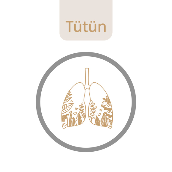 Gri bir çember içine alınmış çizimde kahverengi akciğerler var. Akciğerler, nefes borusunun aşağısında sağda ve solda yer alıyor. İçlerindeki bronşları simgeleyen yapraklarla dalların arasında minik kalpler kondurulmuş. Çemberin üzerinde kahverengiyle “tütün” yazıyor.